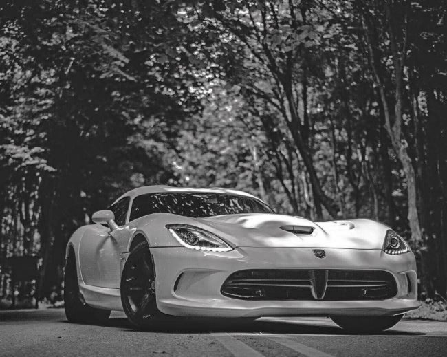 Black And White Dodge Viper Diamond Painting