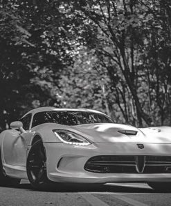 Black And White Dodge Viper Diamond Painting