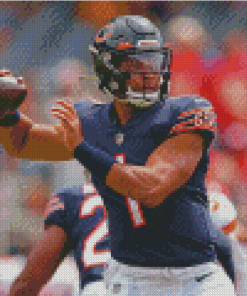 Chicago Bears NFL Football Player Diamond Paintings