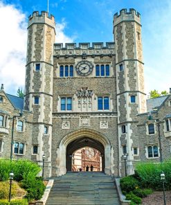 Princeton University Diamond Painting