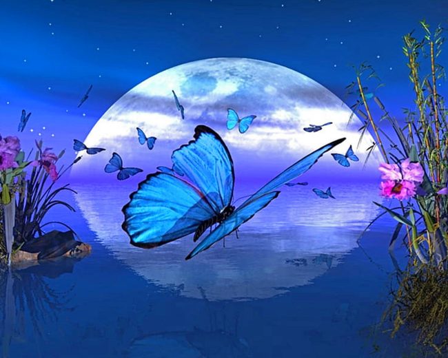 Aesthetic Butterflies And Moon Diamond Painting