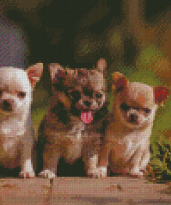 Aesthetic Chihuahua Diamond Painting