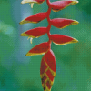 Aesthetic Heliconia Diamond Painting