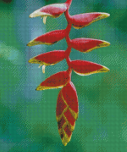 Aesthetic Heliconia Diamond Painting