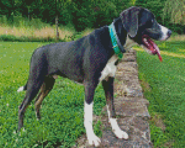 Aesthetic Mountain Cur Dog Diamond Painting