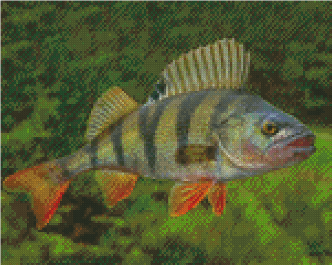 Aesthetic Perch Fish Diamond Painting