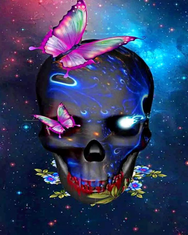 Aesthetic Skull With Butterflies Diamond Painting