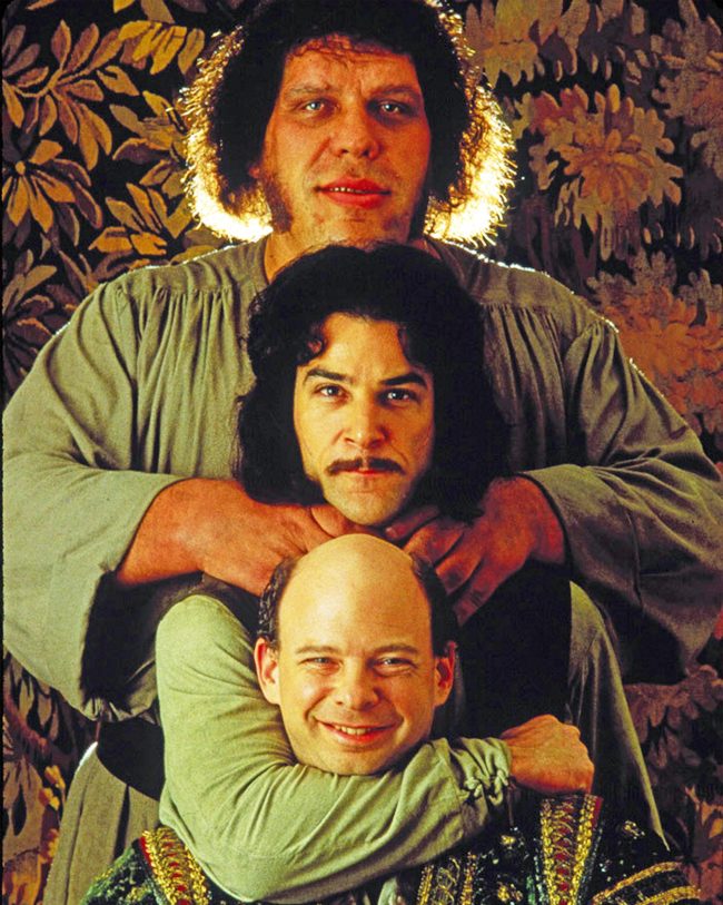 The Princess Bride Characters Diamond Painting