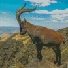 Aesthetic Ibex Diamond Painting