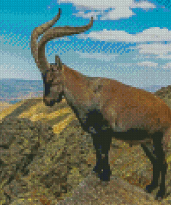 Aesthetic Ibex Diamond Painting