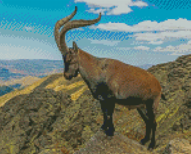 Aesthetic Ibex Diamond Painting