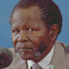 Aesthetic Oliver Tambo Diamond Painting