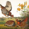 Audubon Bird Diamond Painting