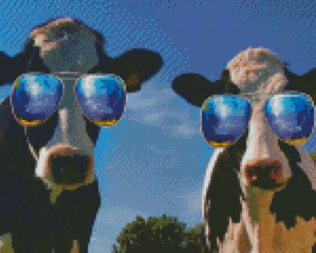 Funny Cows Diamond Painting