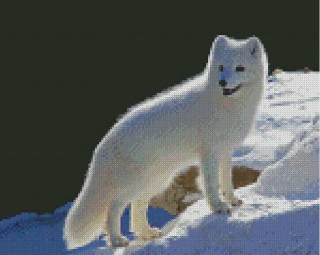 Arctic Fox Diamond Painting