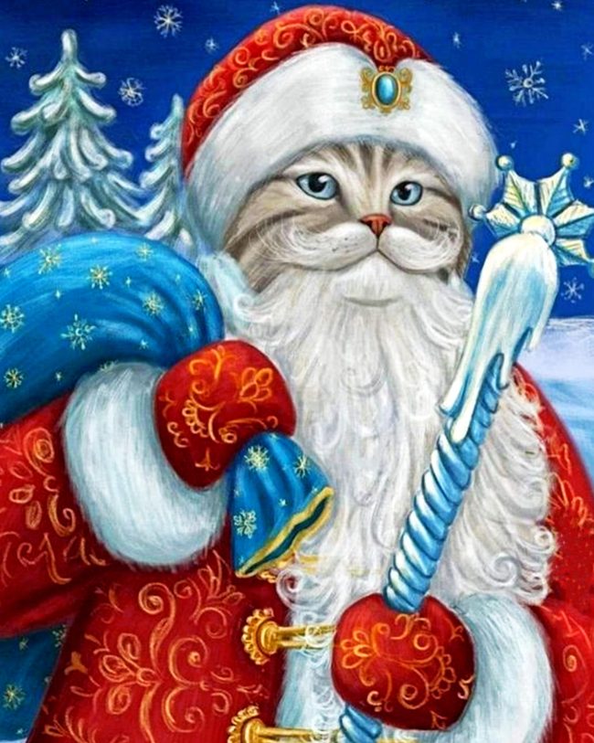 Santa Claus Cat Diamond Painting