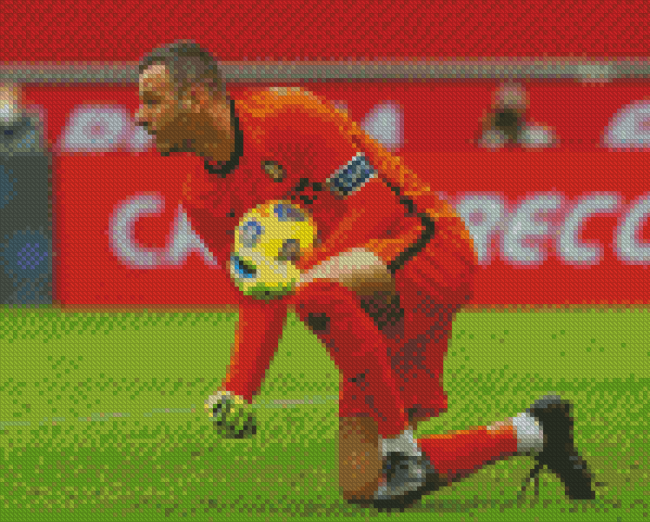 The Goalkeeper Samir Handanovic Diamond Painting