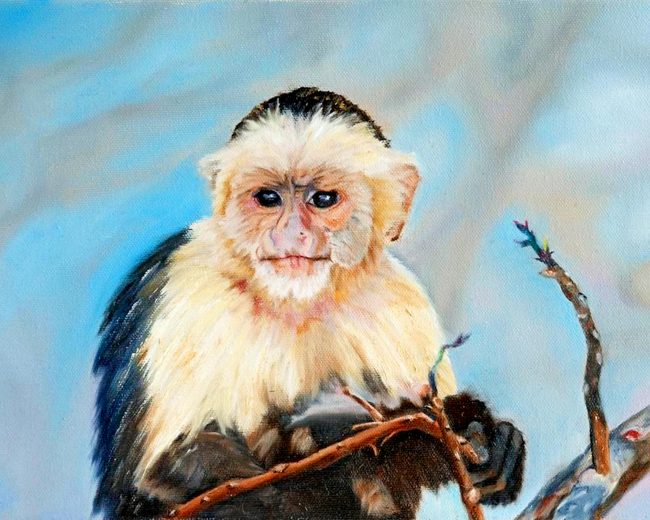 Baby Capuchin Monkey Diamond Painting