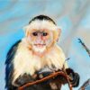 Baby Capuchin Monkey Diamond Painting