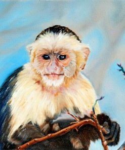 Baby Capuchin Monkey Diamond Painting