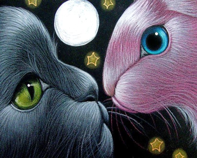 Cat And Bunny Diamond Painting