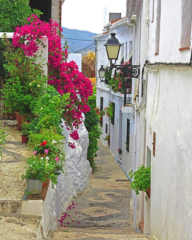 Pink Flowers Frigiliana Spain Diamond Painting