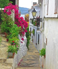 Pink Flowers Frigiliana Spain Diamond Painting