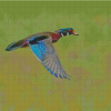 Colorful Mallard Duck Flying Diamond Painting