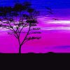Tree Silhouette Purple Sky Diamond Painting