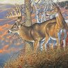 Large Buck And Doe Art Diamond Painting