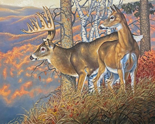 Large Buck And Doe Art Diamond Painting