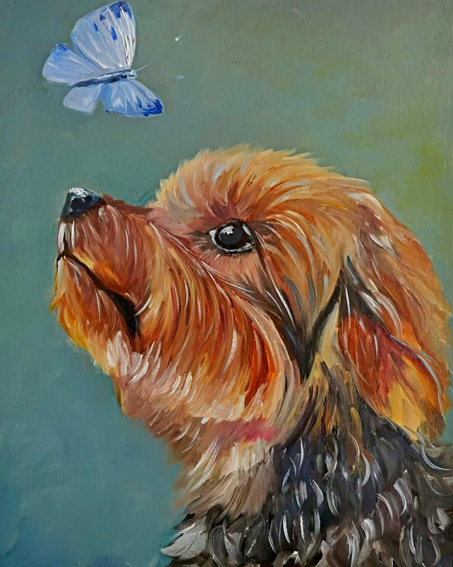 Abstract Yorkshire Terrier With Butterfly Diamond Painting