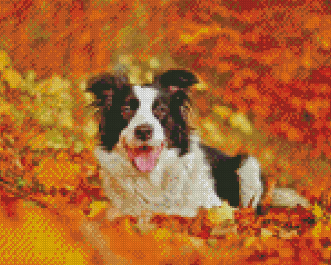 Border Collie In Leaves Diamond Painting