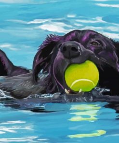 Aesthetic Black Dog Swimming Diamond Painting