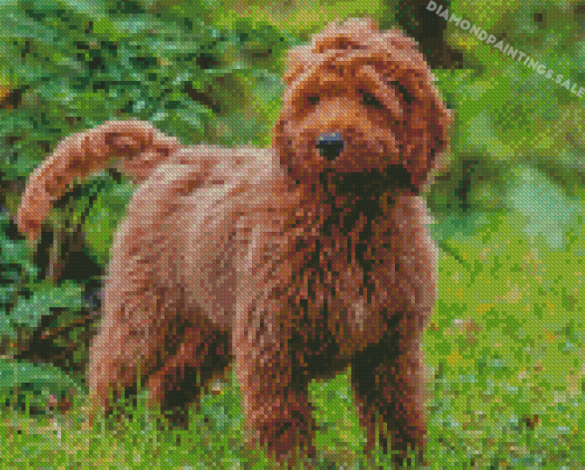 Aesthetic Brown Cockapoo Diamond Painting