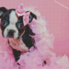 Aesthetic Female Boston Terrier Diamond Painting