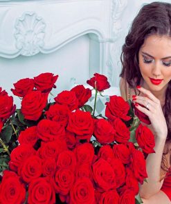 Aesthetic Girl With Red Roses Diamond Painting