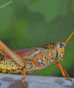 Aesthetic Grasshopper Diamond Painting