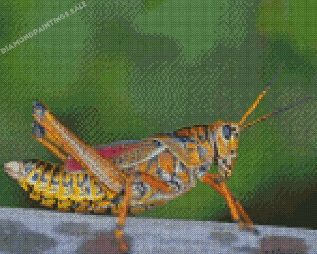 Aesthetic Grasshopper Diamond Painting