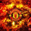 Aesthetic Manchester United Diamond Painting