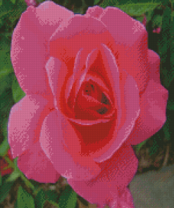 Aesthetic Rosa Peace Diamond Painting