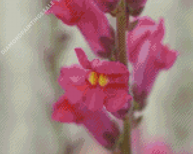 Aesthetic Snapdragons Diamond Painting