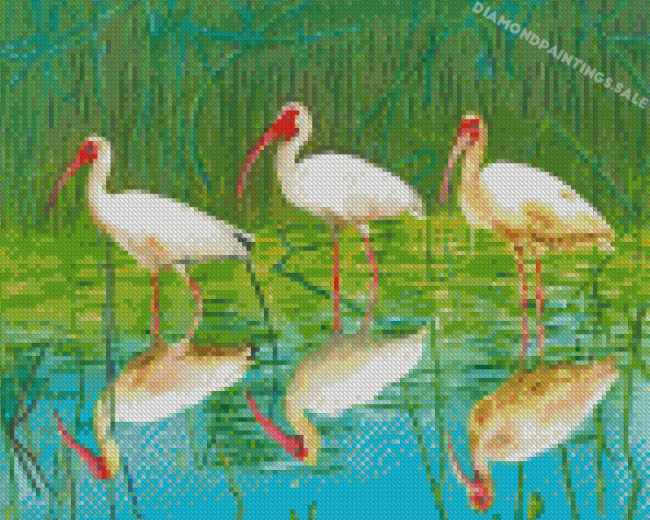 Aesthetic Cranes In Water Diamond Painting