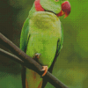 Alexandrine Parakeet On A Branch Diamond Painting