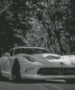 Black And White Dodge Viper Diamond Painting