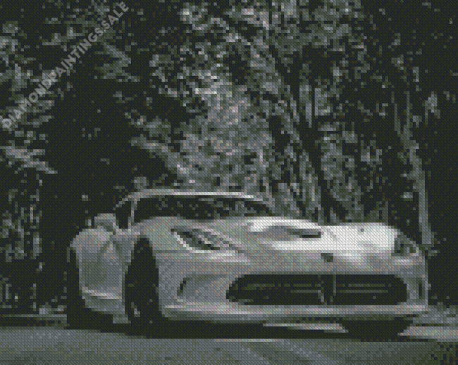 Black And White Dodge Viper Diamond Painting