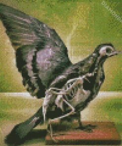 Broken Wing Diamond Painting