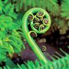 Closeup Koru Diamond Painting