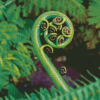 Closeup Koru Diamond Painting