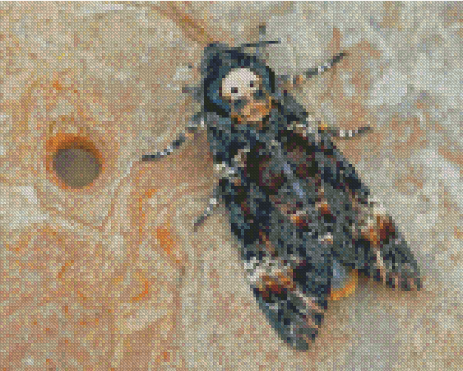 Death Moth Diamond Painting